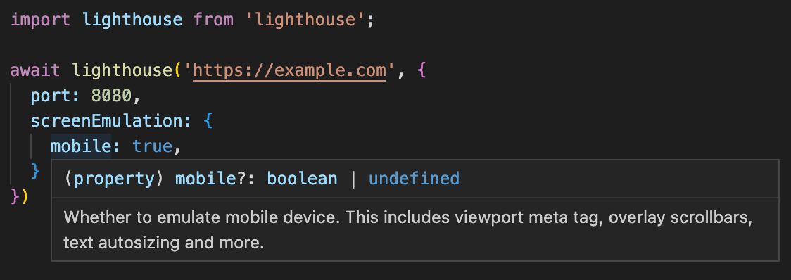 将 Lighthouse 作为函数导入的 Node 脚本,演示了传入函数的 options 对象现在由 TypeScript 进行类型检查